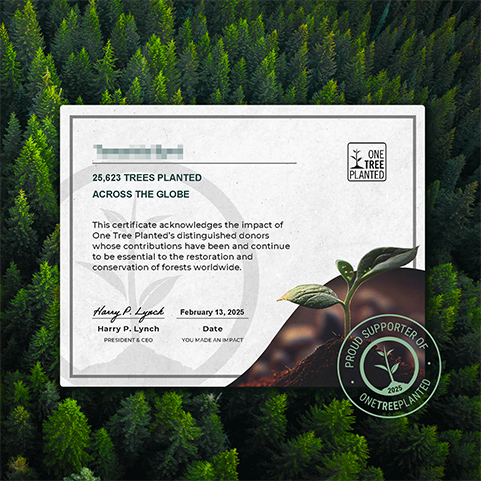 来利国际w66官方网站