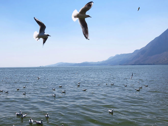 来利国际w66官方网站