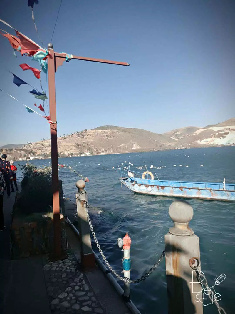 来利国际w66官方网站