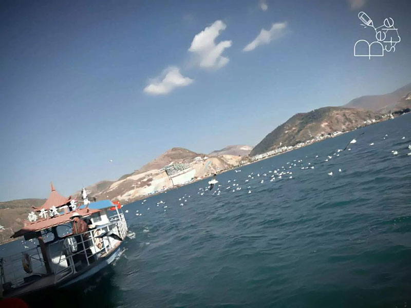 来利国际w66官方网站