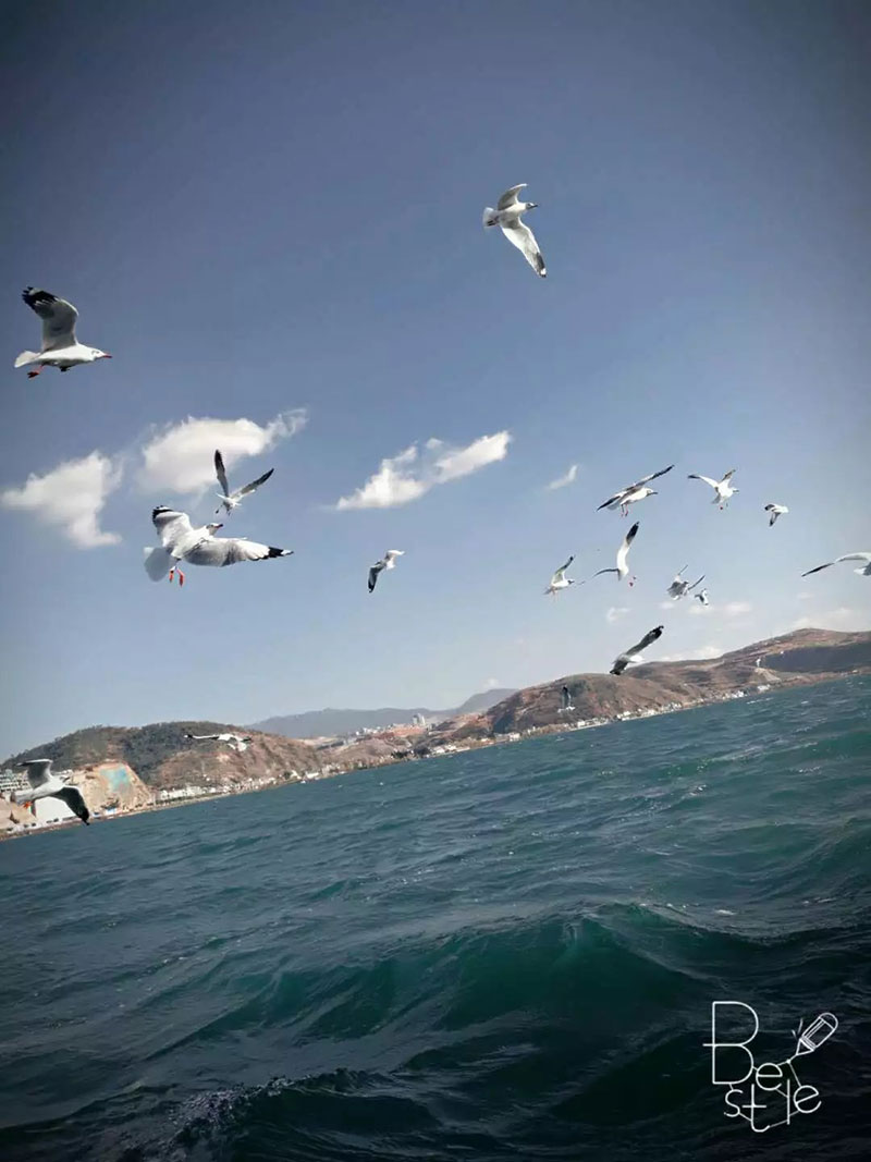 来利国际w66官方网站