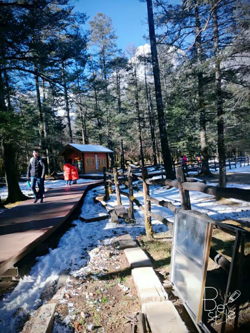 来利国际w66官方网站