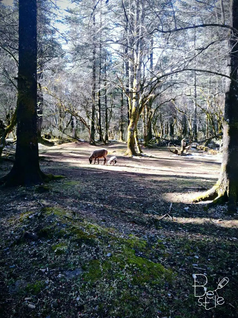 来利国际w66官方网站