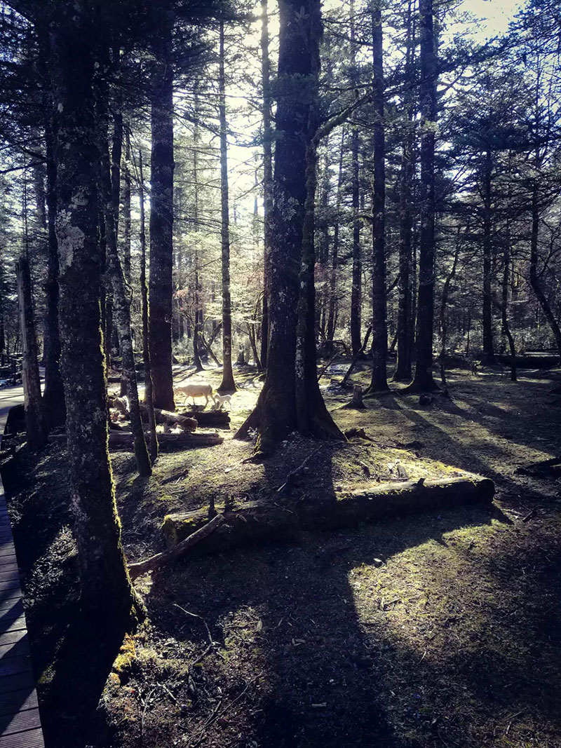 来利国际w66官方网站