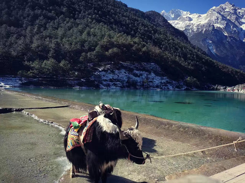 来利国际w66官方网站