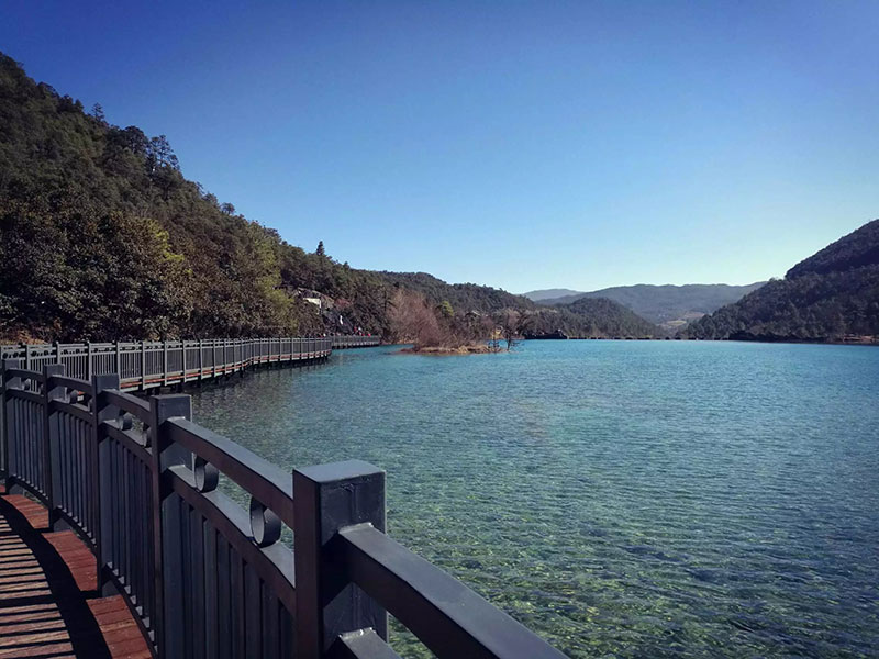 来利国际w66官方网站