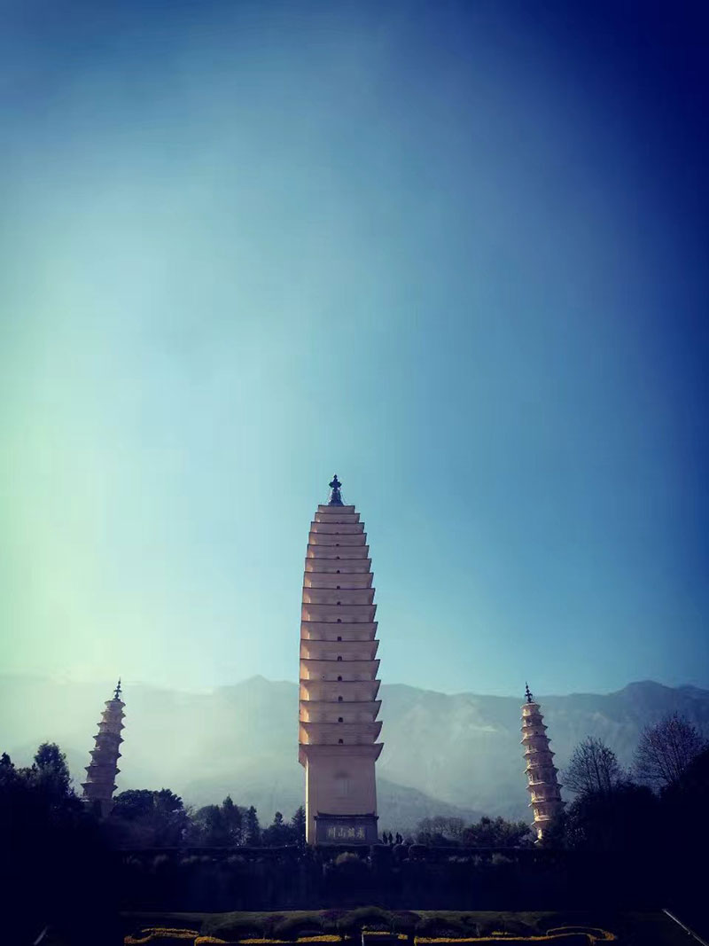 来利国际w66官方网站