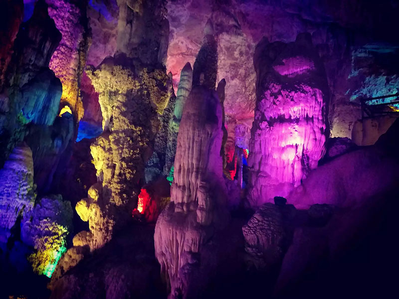 来利国际w66官方网站