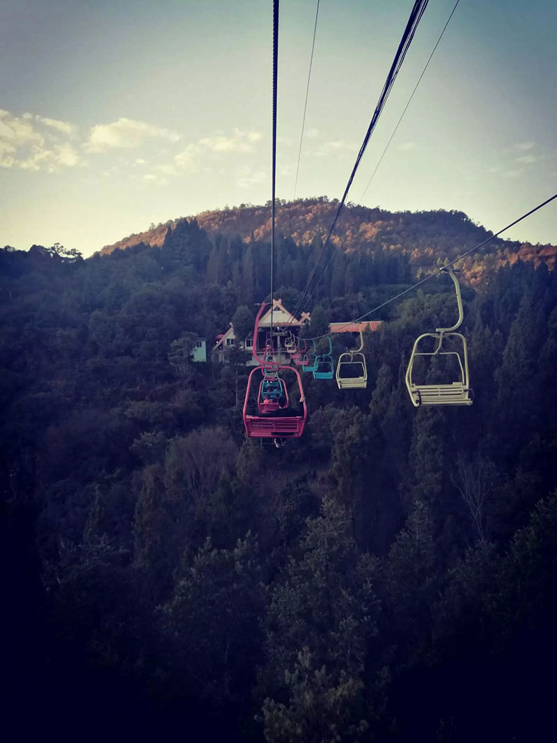 来利国际w66官方网站