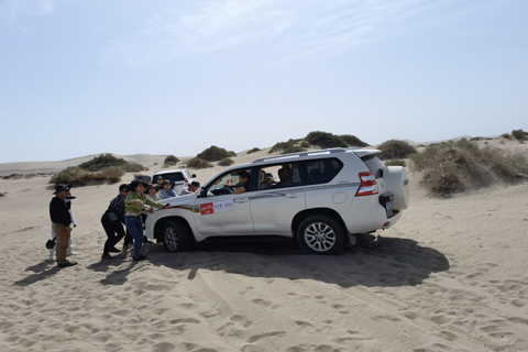 来利国际w66(中国集团)官方网站