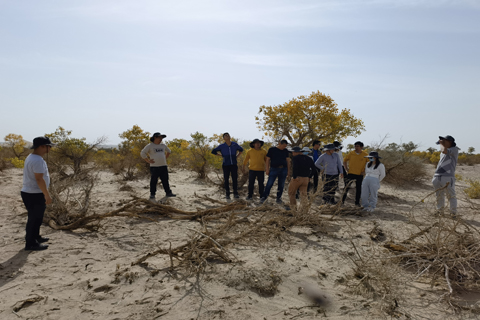 来利国际w66(中国集团)官方网站