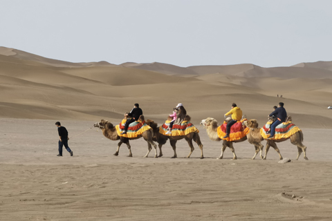 来利国际w66(中国集团)官方网站