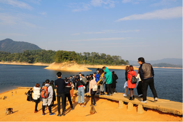 来利国际w66(中国集团)官方网站